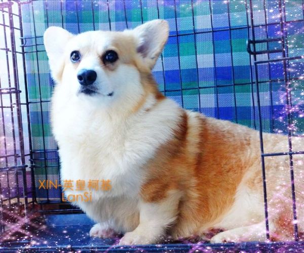 image.jpg