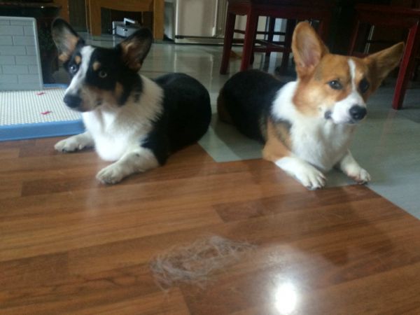 PIC_20150802_135652_532_meitu_1.jpg
