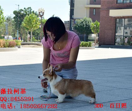 DSC_3399_副本_副本.jpg