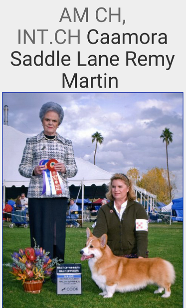 2015-08-06 07.05.18.png