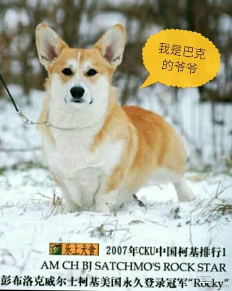 AD1BEDFB6EDF2B6C0FB8E1A3F9E62F99.jpg