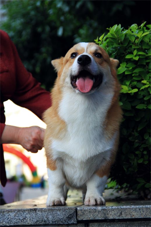 未标题-1 拷贝.jpg