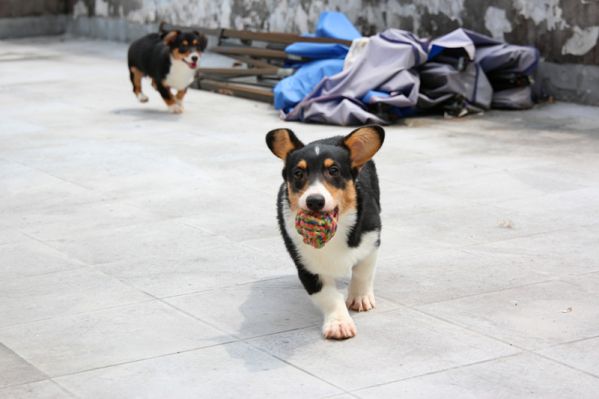IMG_4312_副本.jpg
