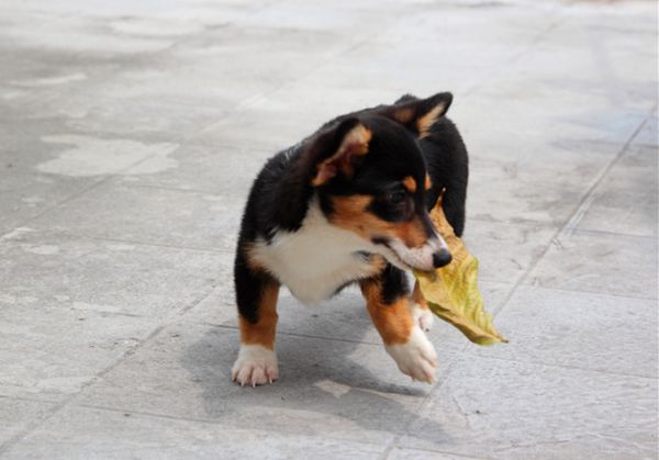 IMG_4336_副本.jpg