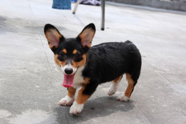 IMG_4358_副本.jpg