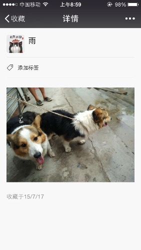 image.jpg