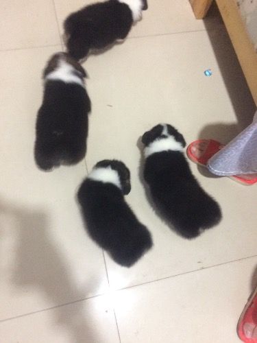image.jpg