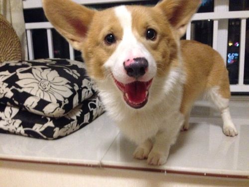 image.jpg