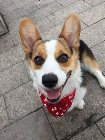 自带眼线的美少年