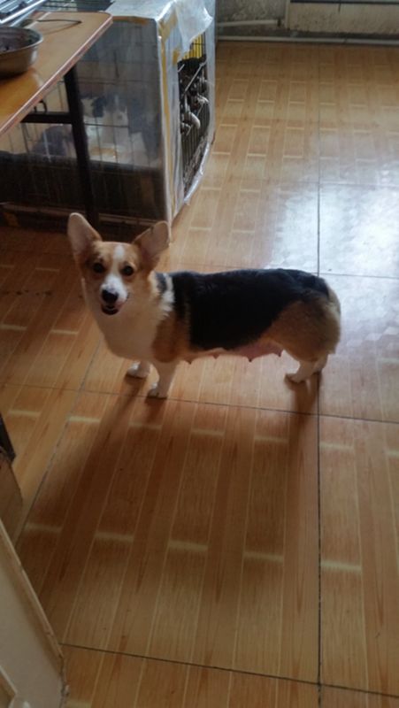 20150923_094932.jpg