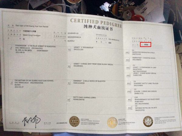 QQ图片20150925221058.jpg
