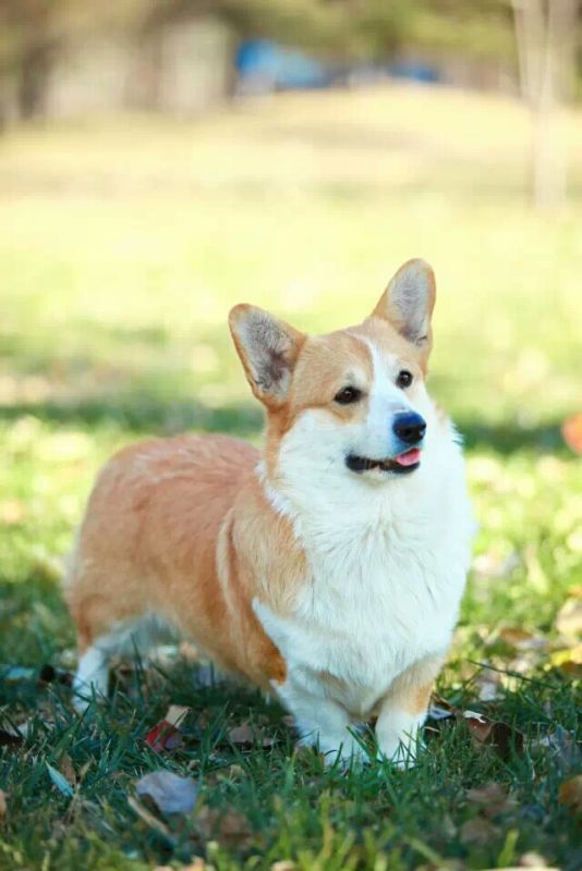 1423104330554.jpeg