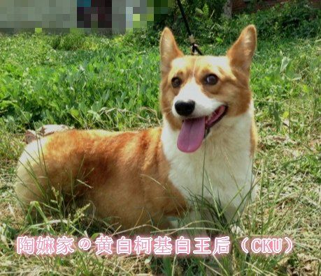 default-5.jpeg