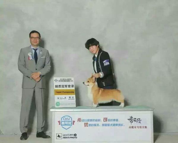皮皮3.jpg