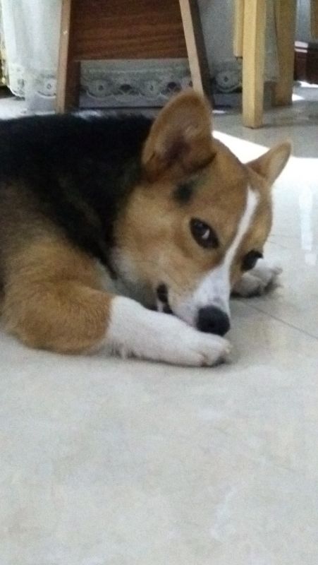 眼神很犀利有木有