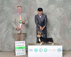 12_副本.jpg