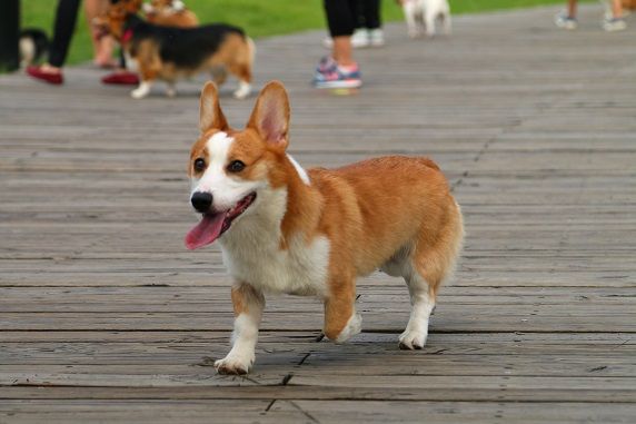 IMG_2695.JPG