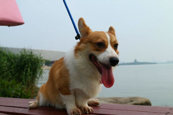 QQ图片20150904121000.jpg