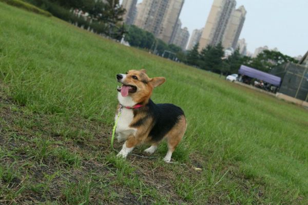 QQ图片20150904121255.jpg