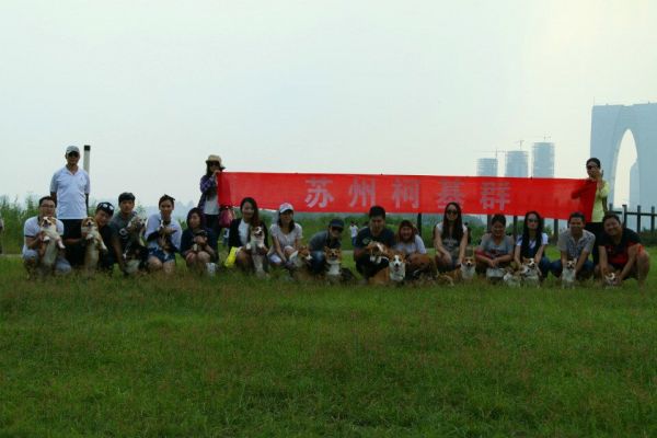 QQ图片20150904121410.jpg