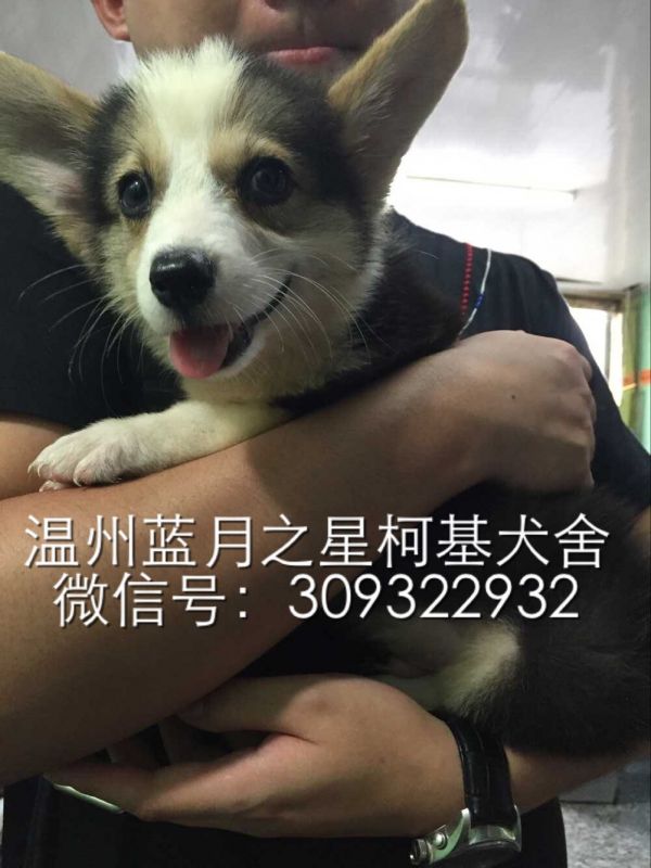 QQ图片20150903171224.jpg
