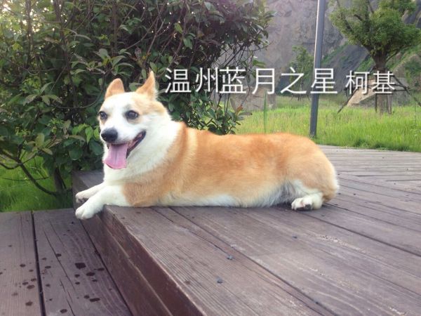 QQ图片20150903171159.jpg
