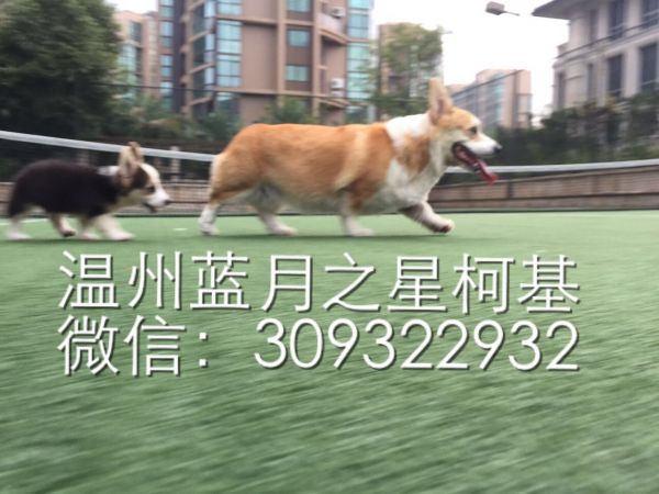 QQ图片20150903171148.jpg