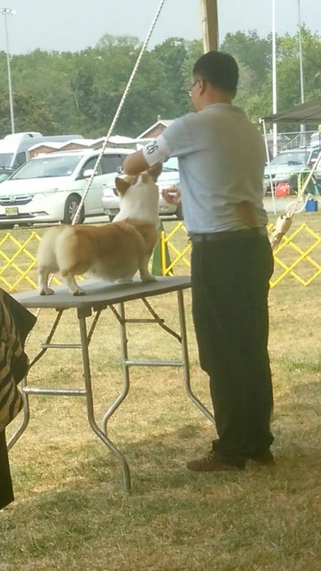 QQ图片20150905082542.jpg