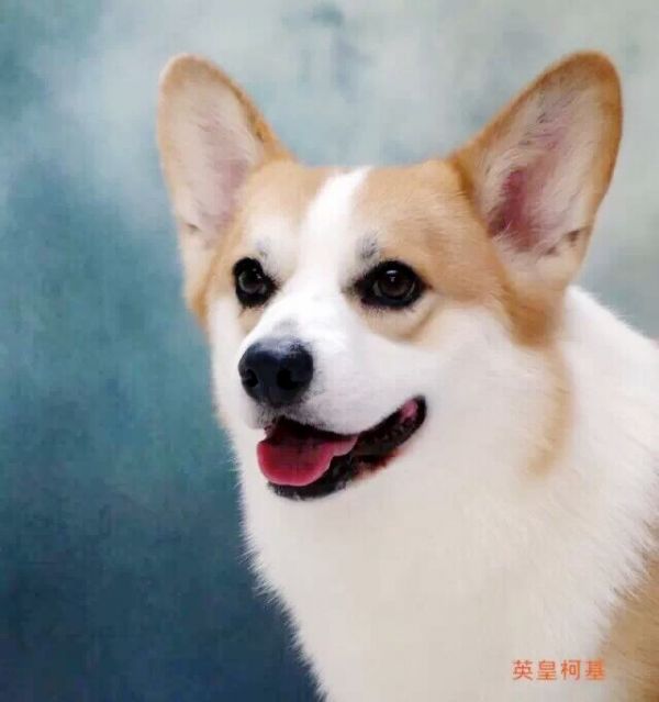 image.jpg