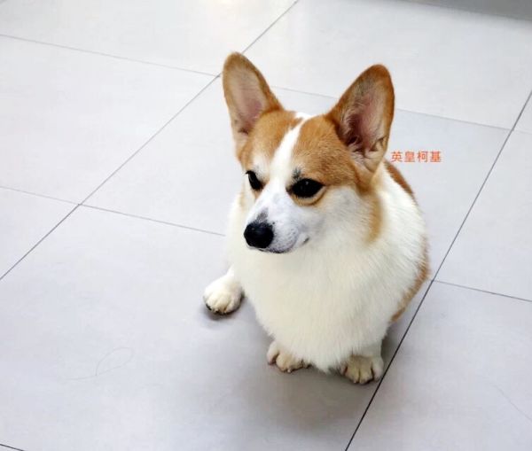 image.jpg