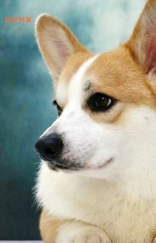 image.jpg