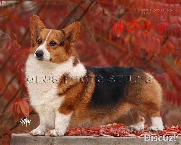 173842b318kk33k1128u82.jpg