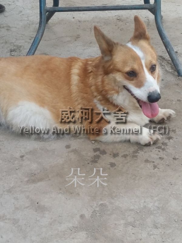 20150531_183207.jpg