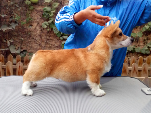 QQ图片20151020192023.png