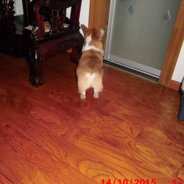 CIMG0718 - 副本 (640x640).jpg