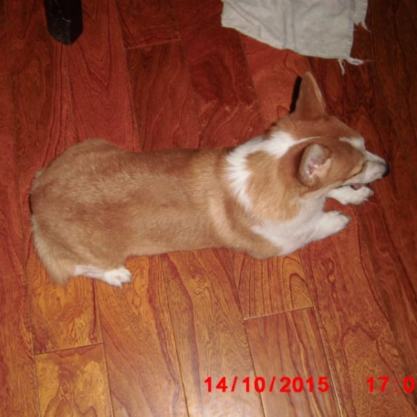 CIMG0717 - 副本 (640x640).jpg