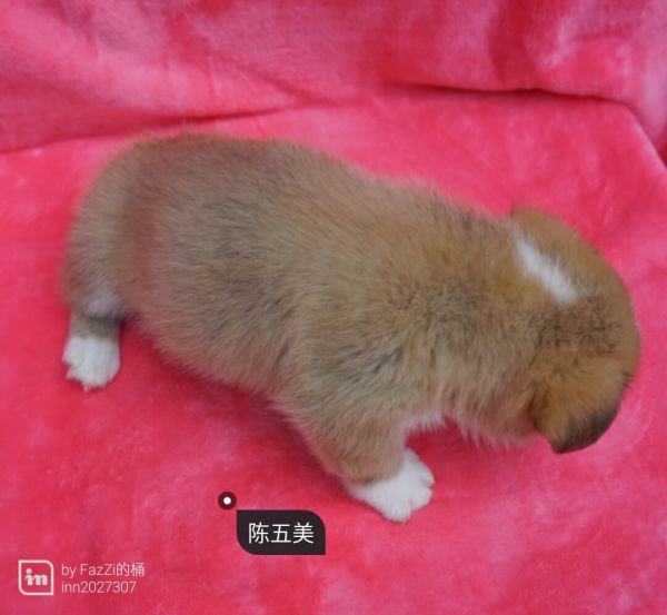 1445704120764_share.jpg