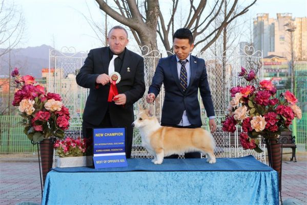 143658l4i1qiu5qqzvci9g.jpg.thumb.jpg