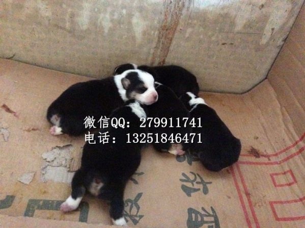 2015-11-05 143533_副本.jpg