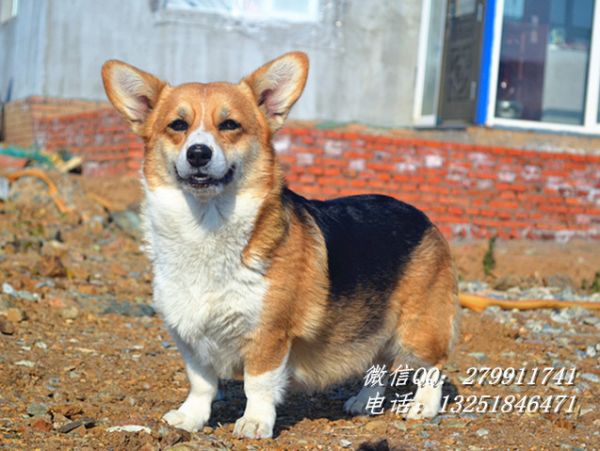 DSC_0846_副本.jpg