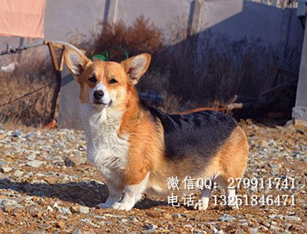 DSC_0840_副本.jpg