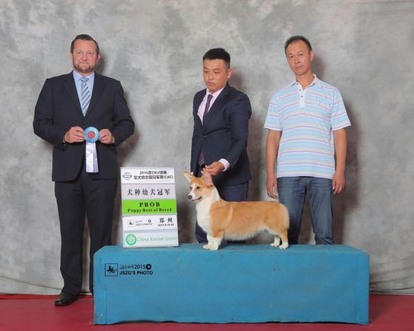 My Picturesmmexport1443019207887.jpg