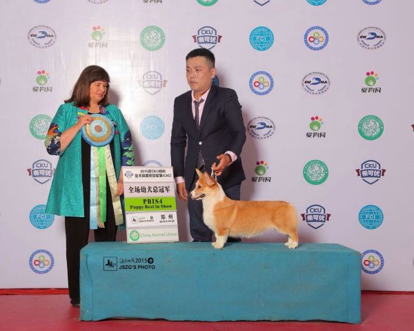 My Picturesmmexport1442850529084.jpg