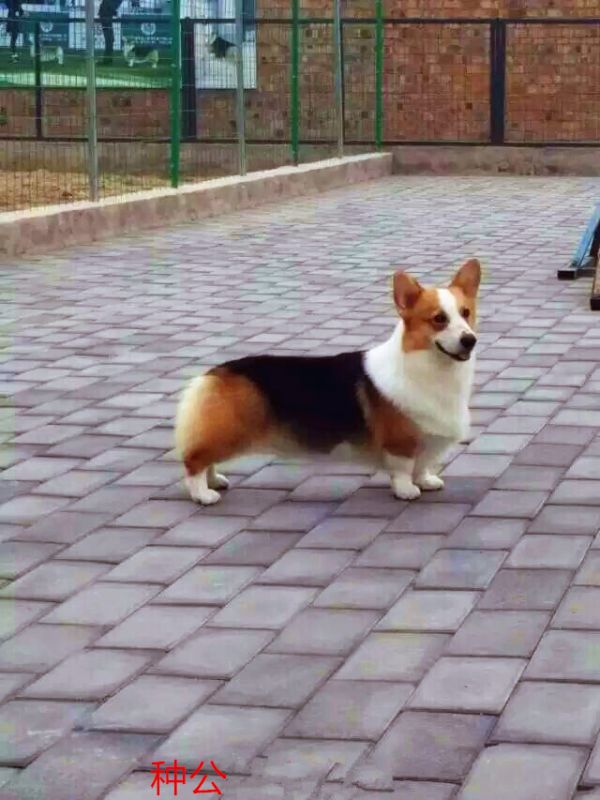 QQ图片20150720211914_副本.jpg