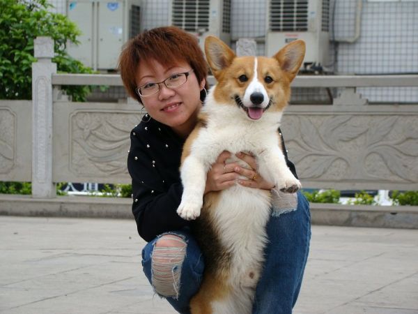 爸爸
