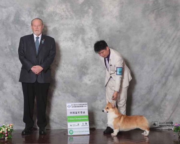 QQ图片20151116020613.jpg
