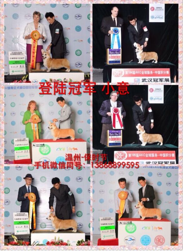 小意.jpg