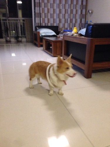 image.jpg