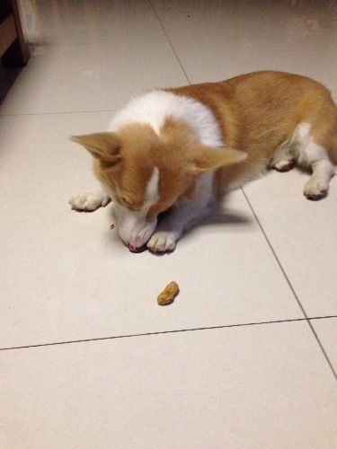 image.jpg