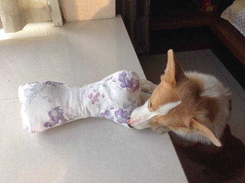 image.jpg